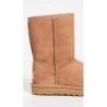 UGG Classic Short II 1016223 | Bottes Légères
